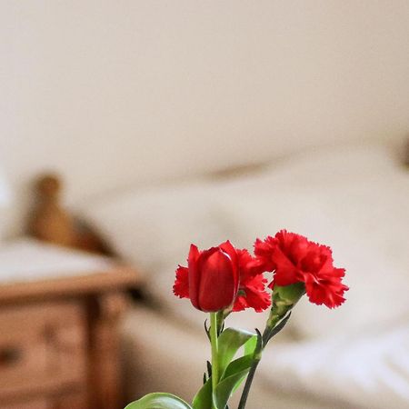 Apartment Vordermitterast Кирхберг ин Тирол Екстериор снимка